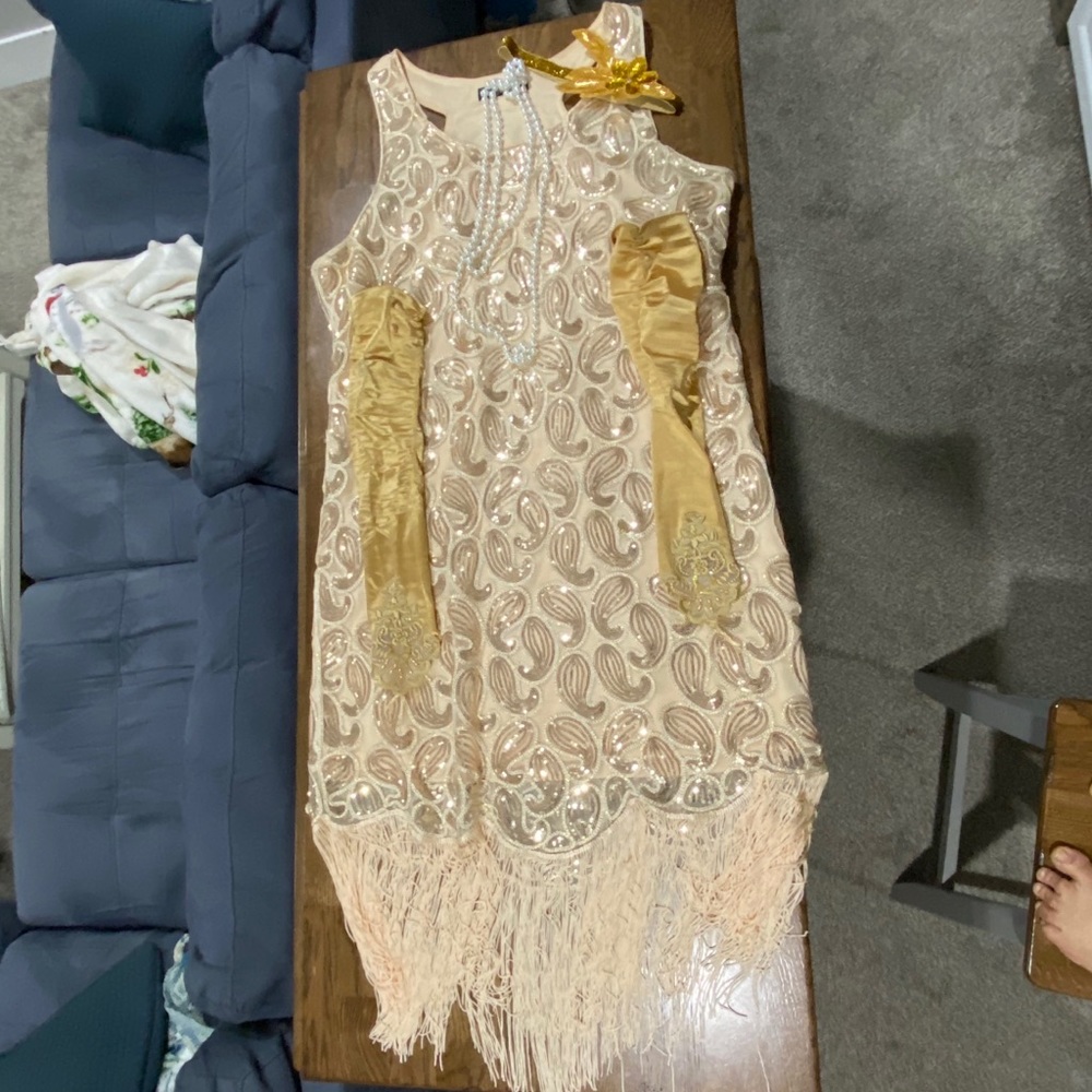 Roaring 1920’s Gatsby Flapper Dress with Acess
